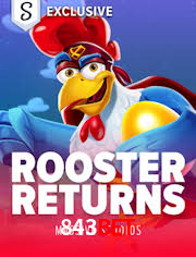 Descubra o Mundo do Cassino Online com 843bet